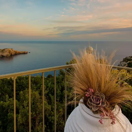 Belvedere Paxos